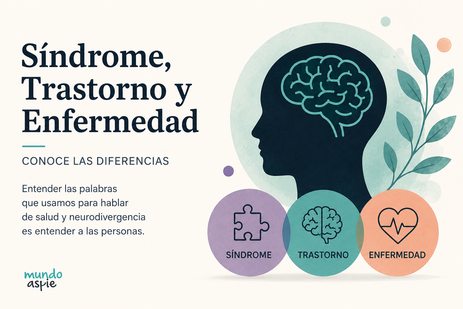 Ilustración sobre las diferencias entre síndrome, trastorno y enfermedad aplicada al autismo y la neurodivergencia