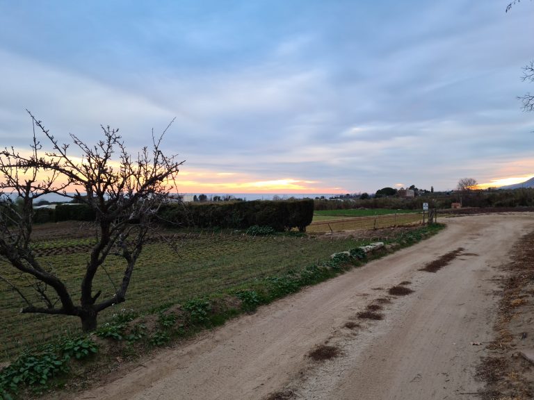 Abriendo caminos